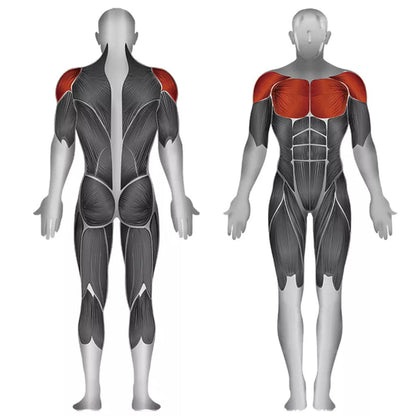 Steelflex JGPD700 Pec and Rear Deltoid Machine